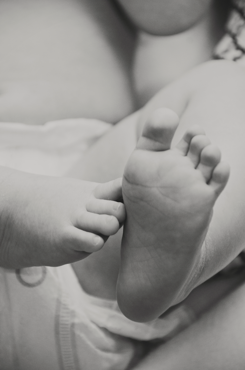 utah family photographer