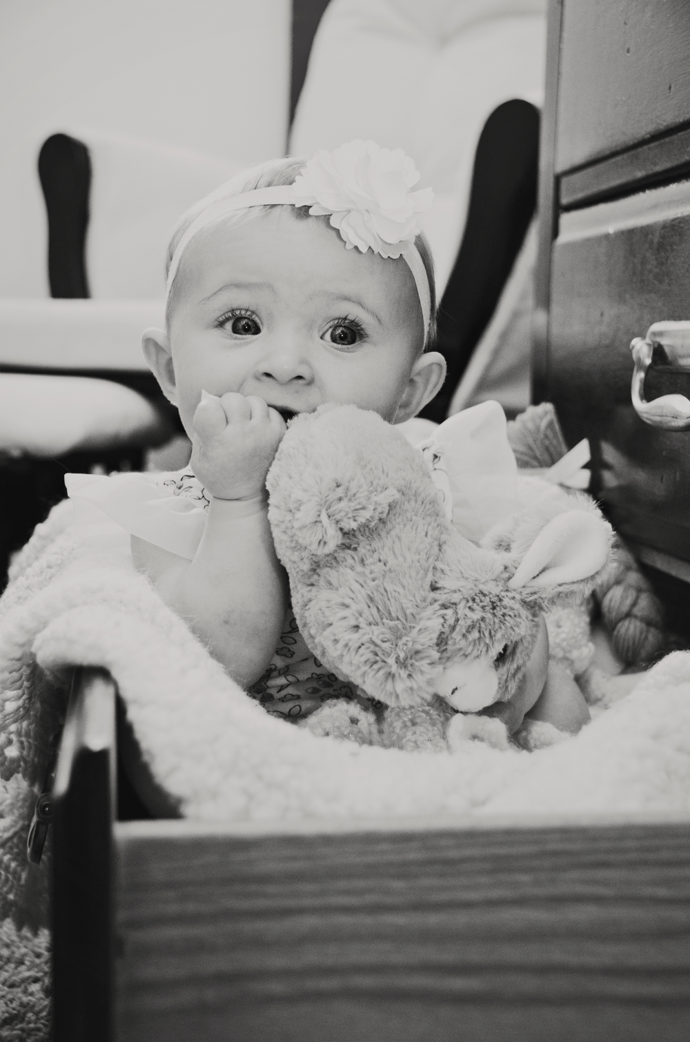 utah family photographer