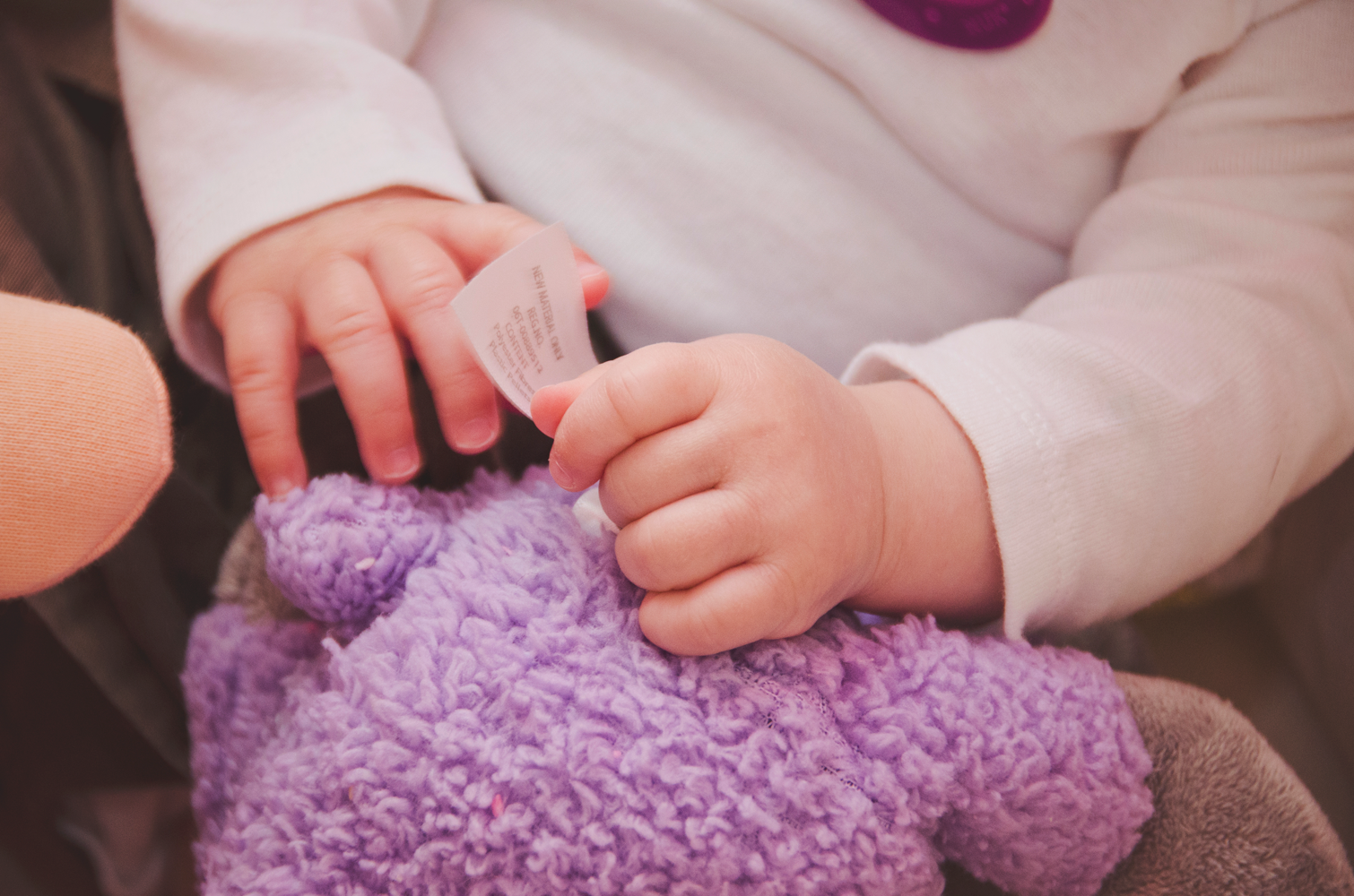 utah family photographer