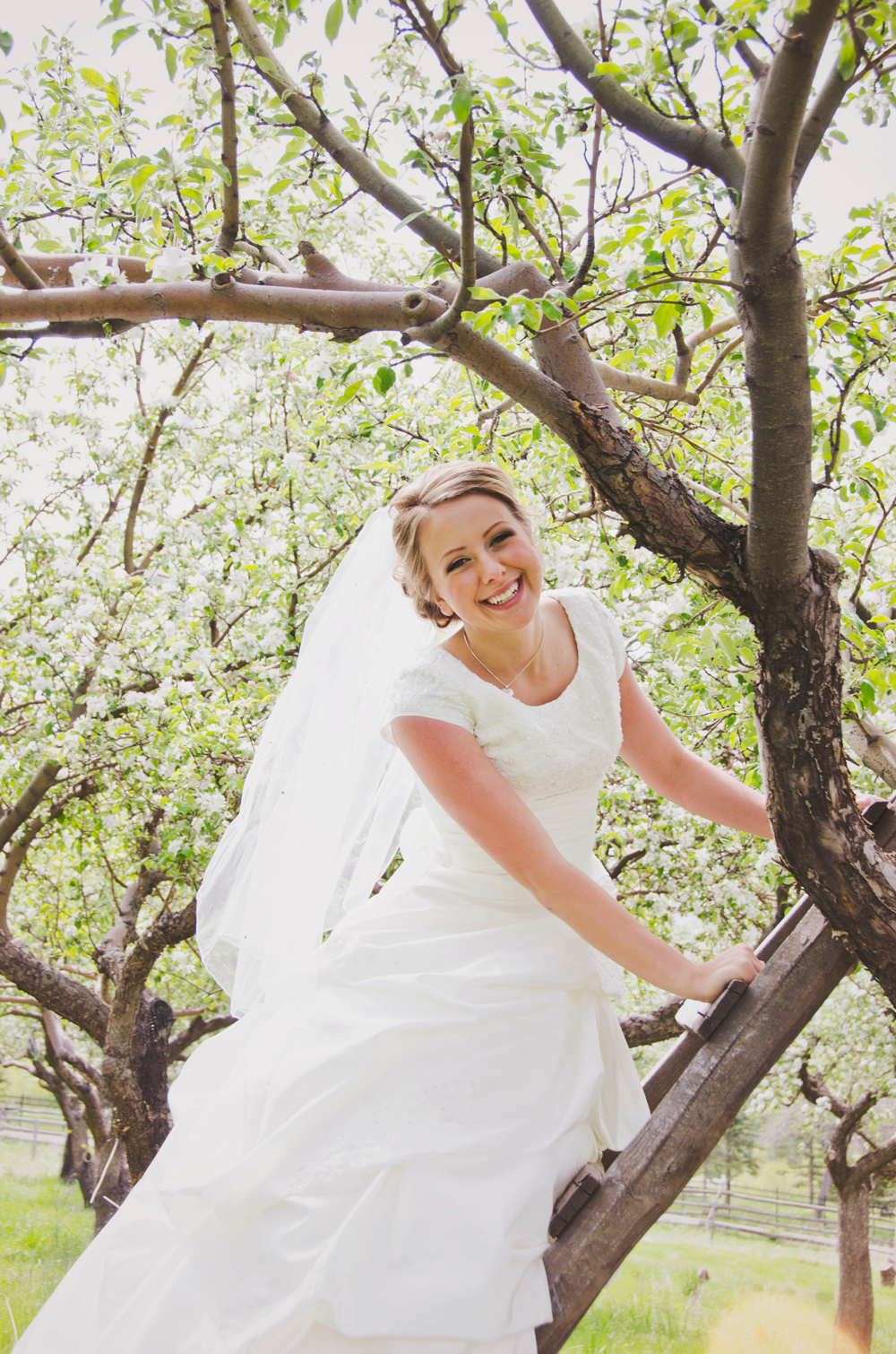 utah wedding photographer