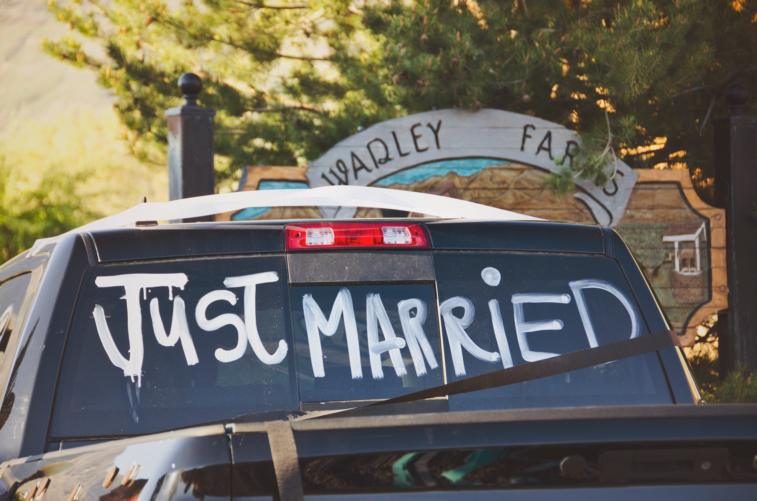 utah wedding photographer