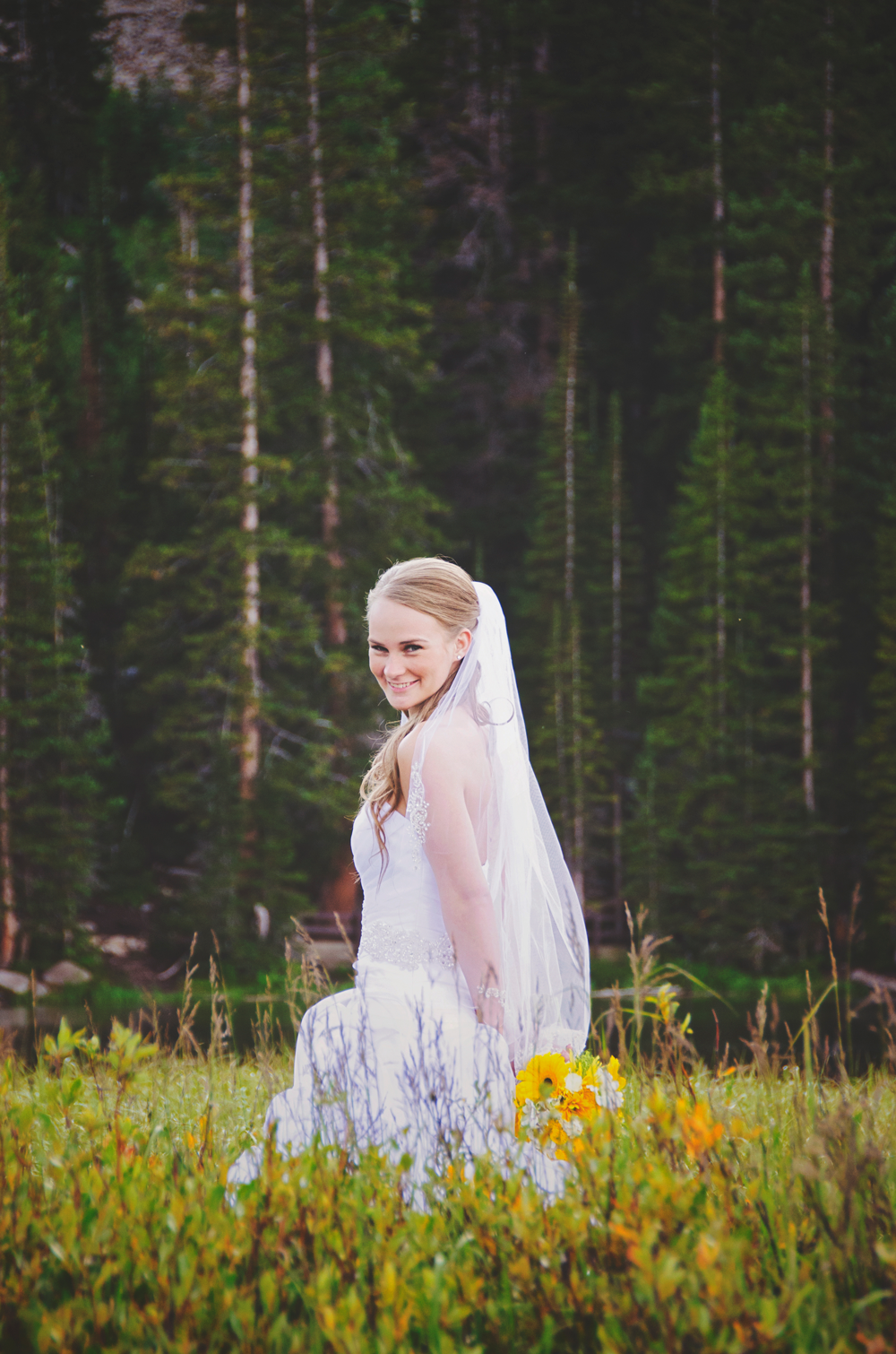 utah wedding photographer