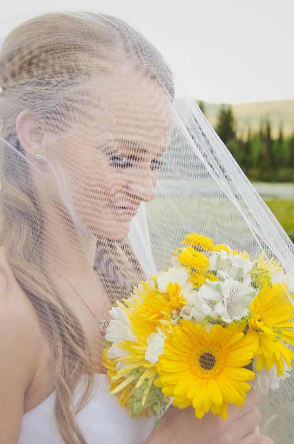 utah wedding photographer